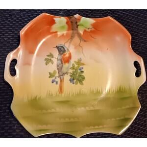 Prov Saxe Es Germany Porcelain Bird Plate